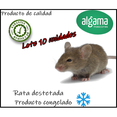 Rata destetada (Producto congelado)